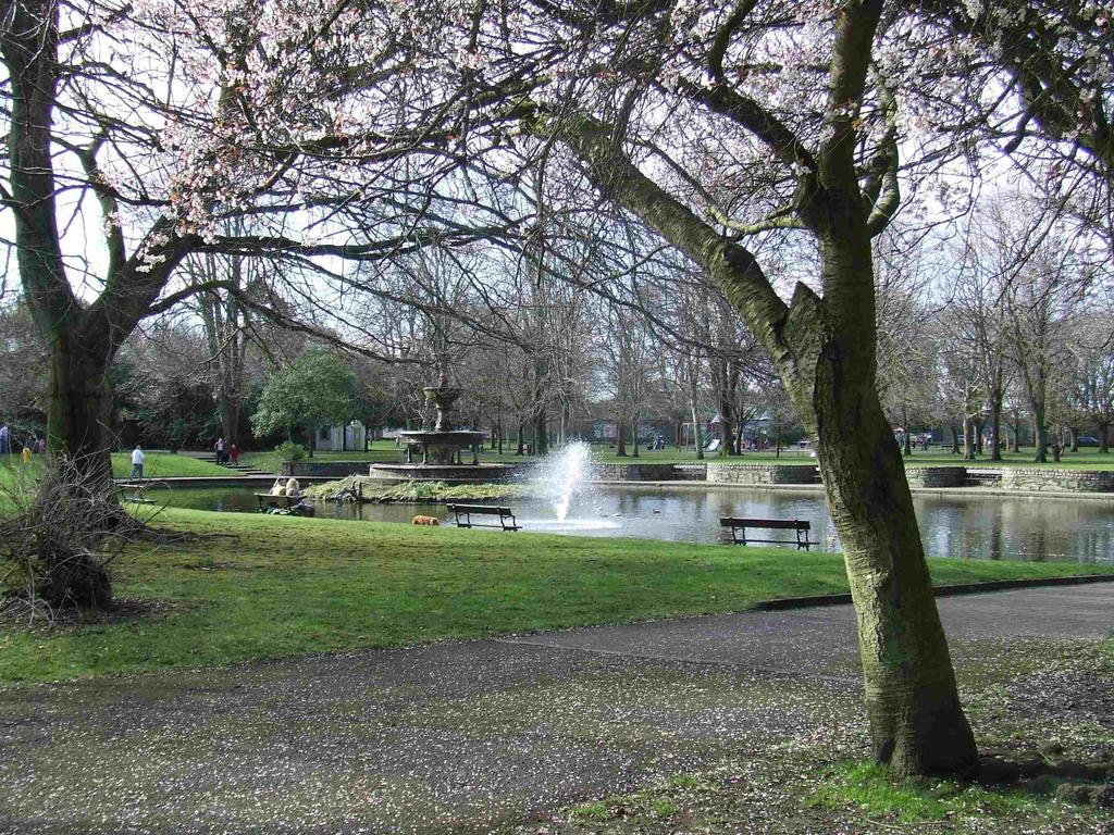 Castlewhite - Ucc Summer Beds Cork Bagian luar foto